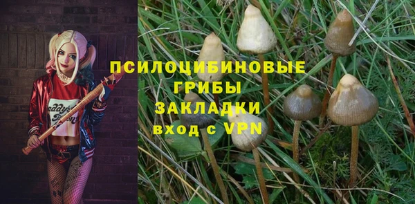 соль курить ск Белокуриха