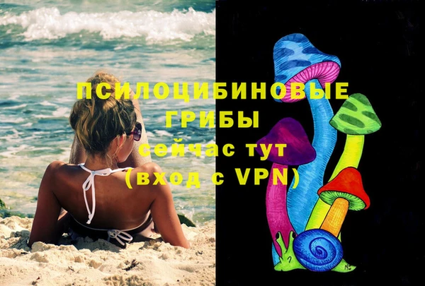 спиды Белоозёрский