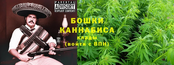 соль курить ск Белокуриха